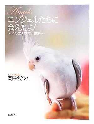 エンジェルたちに会えたよ！ インコとママの物語