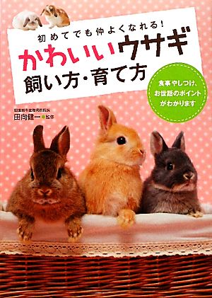 かわいいウサギ飼い方・育て方