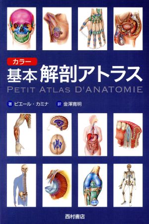 カラー基本解剖アトラス