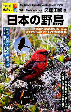 生きもの出会い図鑑 日本の野鳥