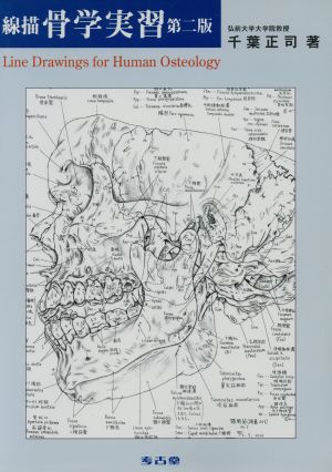 線描骨学実習