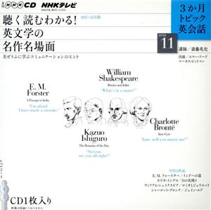 NHKテレビ3か月トピック英会話 2010年11月号