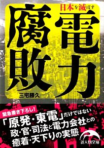 日本を滅ぼす電力腐敗 新人物文庫