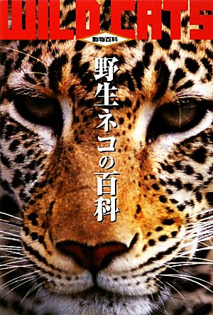 野生ネコの百科 動物百科