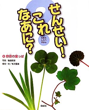 せんせい！これなあに？(4) 野原の葉っぱ-野原の葉っぱ なまえしらべずかん