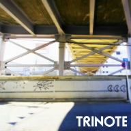 TRINOTE