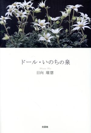 ドール・いのちの泉