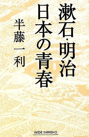 漱石・明治 日本の青春 ワイド新書