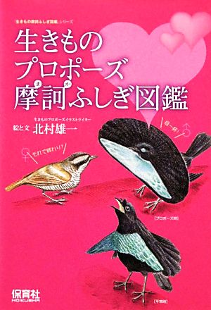 生きものプロポーズ 摩訶ふしぎ図鑑生きもの摩訶ふしぎ図鑑