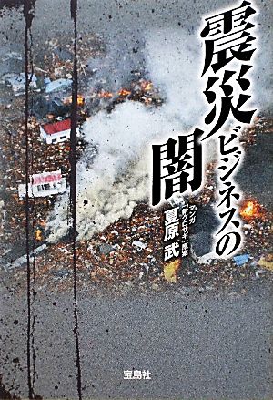 震災ビジネスの闇 宝島SUGOI文庫