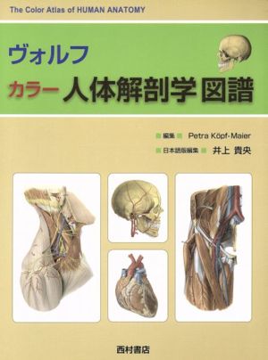 ヴォルフ カラー 人体解剖学図譜