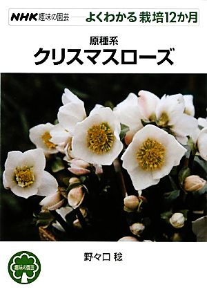 趣味の園芸 原種系クリスマスローズ よくわかる栽培12か月 NHK趣味の園芸