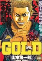 【廉価版】GOLD 凄絶・大阪喧嘩最前線！編(2)ヤングキングベスト