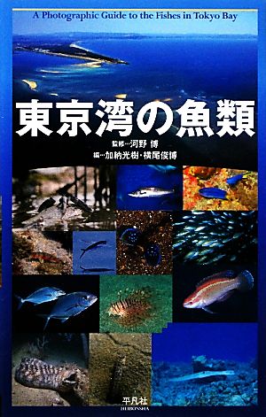 東京湾の魚類