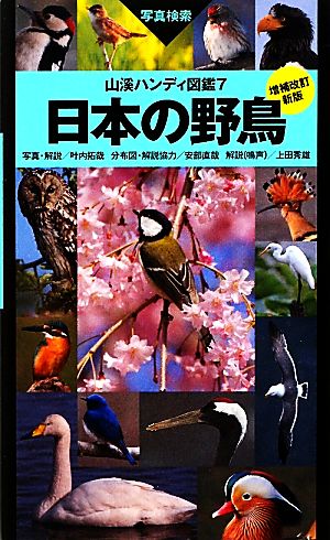 日本の野鳥 増補改訂新版山渓ハンディ図鑑7