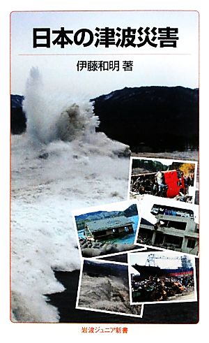 日本の津波災害岩波ジュニア新書