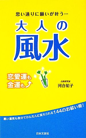 大人の風水 思い通りに願いが叶う… 日文新書日文実用PLUS