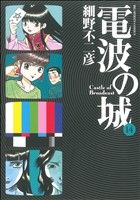 電波の城(14) ビッグC