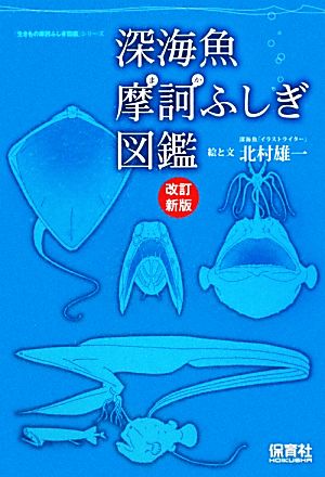 深海魚摩訶ふしぎ図鑑 生きもの摩訶ふしぎ図鑑