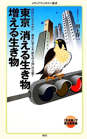 東京 消える生き物 増える生き物23区にハヤブサが!?都市に栄える「野生の王国」の実態。メディアファクトリー新書