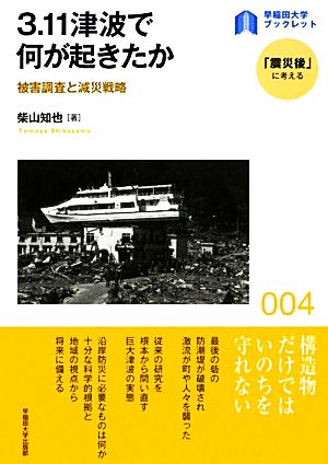 3.11津波で何が起きたか被害調査と減災戦略早稲田大学ブックレット「震災後」に考える