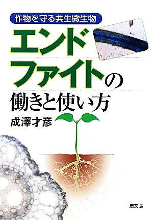 エンドファイトの働きと使い方 作物を守る共生微生物