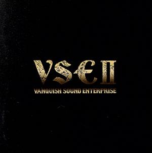 VSEⅡ(500枚限定盤)