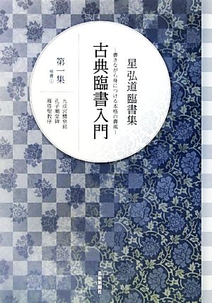 古典臨書入門 楷書1(第一集) 書きながら身につける本格の書風 星弘道臨書集