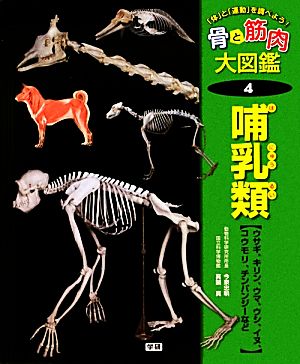 「体」と「運動」を調べよう！骨と筋肉大図鑑(4)ウサギ、キリン、ウマ、ウシ、イヌ、コウモリ、チンパンジーなど-哺乳類骨と筋肉大図鑑第4巻