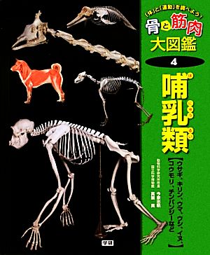 「体」と「運動」を調べよう！骨と筋肉大図鑑(4) ウサギ、キリン、ウマ、ウシ、イヌ、コウモリ、チンパンジーなど-哺乳類 骨と筋肉大図鑑第4巻