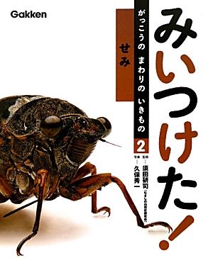 みいつけた！がっこうのまわりのいきもの(2) せみ