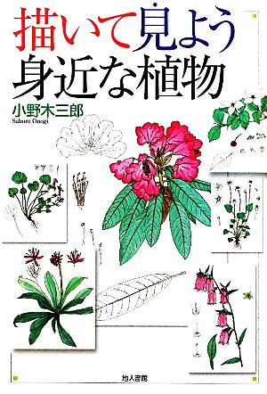 描いて見よう身近な植物