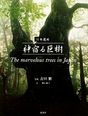 日本遺産 神宿る巨樹The marvelous trees in Japan