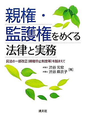 親権・監護権をめぐる法律と実務 民法の一部改正を踏まえて