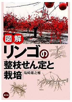 図解 リンゴの整枝せん定と栽培