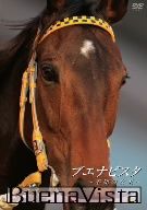 ブエナビスタ 不屈の女王