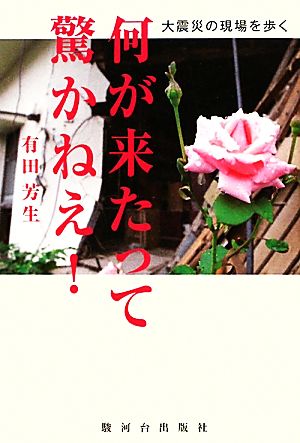 何が来たって驚かねえ！ 大震災の現場を歩く