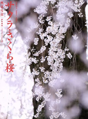 サクラ・さくら・桜