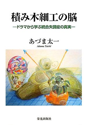 積み木細工の脳 ドラマから学ぶ統合失調症の真実