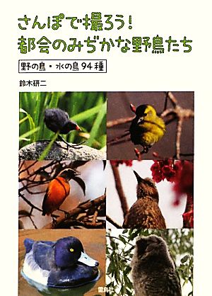 さんぽで撮ろう！都会のみぢかな野鳥たち 野の鳥・水の鳥94種