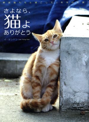 さよなら、猫よありがとう