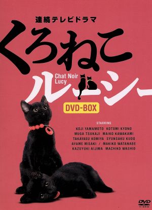 連続テレビドラマ くろねこルーシー DVD-BOX