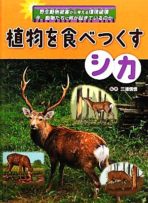 植物を食べつくすシカ 野生動物被害から考える環境破壊 今、動物たちに何が起きているのか