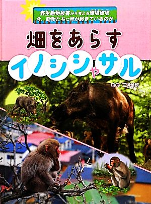 畑をあらすイノシシやサル 野生動物被害から考える環境破壊 今、動物たちに何が起きているのか