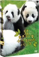 51(ウーイー)世界で一番小さく生まれたパンダ