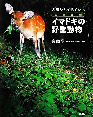 写真ルポ イマドキの野生動物 人間なんて怖くない