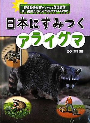 日本にすみつくアライグマ 野生動物被害から考える環境破壊 今、動物たちに何が起きているのか