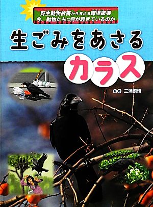 生ごみをあさるカラス 野生動物被害から考える環境破壊 今、動物たちに何が起きているのか