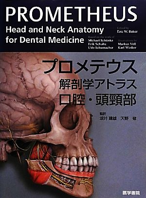 プロメテウス解剖学アトラス 口腔・頭頸部口腔・頭頚部