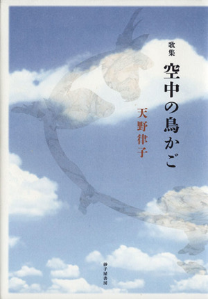 空中の鳥かご 天野律子歌集 黒曜座叢書